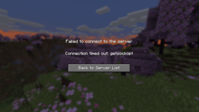 Getsockopt minecraft error