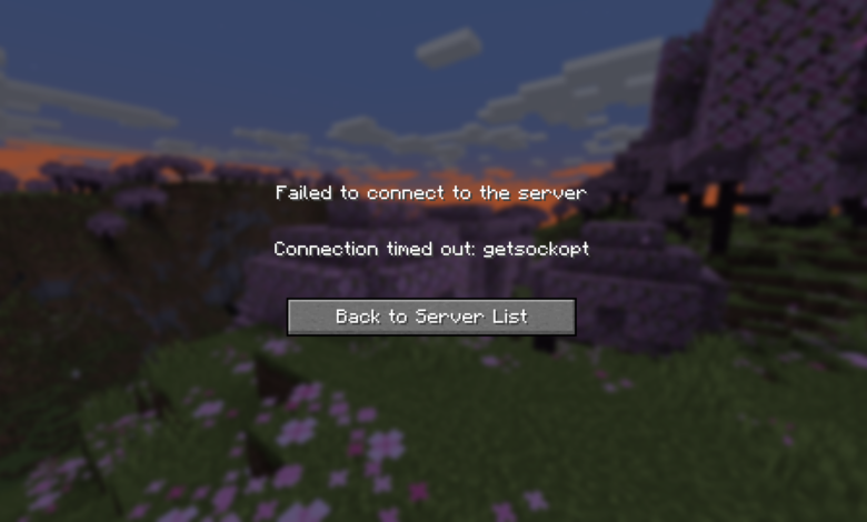 Getsockopt minecraft error